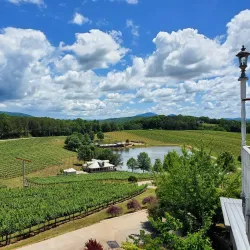 Frogtown Cellars - Dahlonega