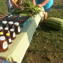 Dalton Farmers Market - Dalton