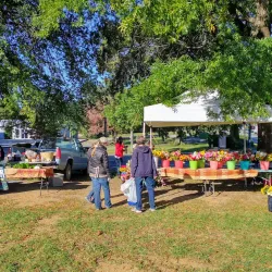 Dalton Farmers Market - Dalton