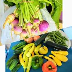 Dalton Farmers Market - Dalton