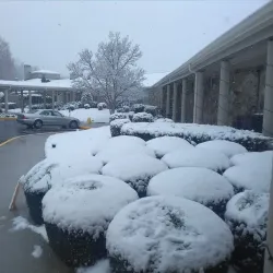 Dalton Golf Club - Dalton