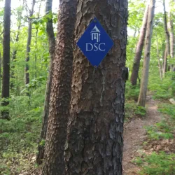 Dalton Greenway Trail - Dalton