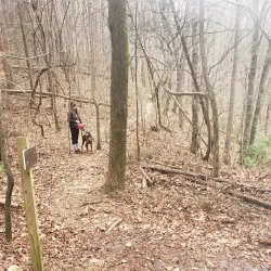 Dalton Greenway Trail - Dalton