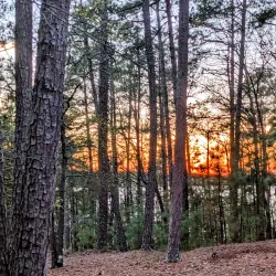 Hickory Knob Park - Dalton