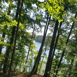 Hickory Knob Park - Dalton