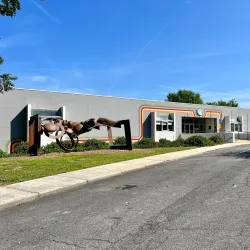 The Creative Arts Guild - Dalton