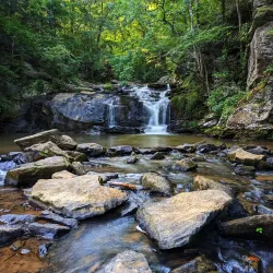 Cochran Park - Douglas