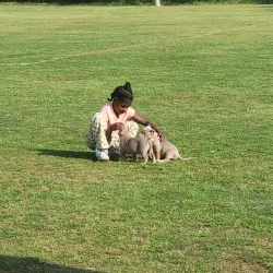 Chapel Hill Park - Douglasville