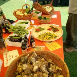 Douglasville Farmers Market - Douglasville