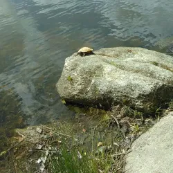 Hunter Park - Douglasville