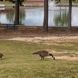 Hunter Park - Douglasville