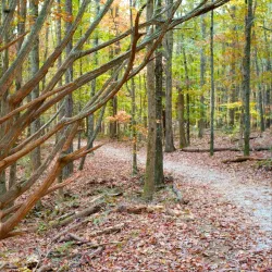 Sweetwater Creek State Park - Douglasville