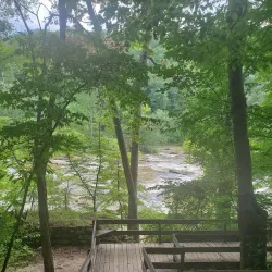 Sweetwater Creek State Park - Douglasville