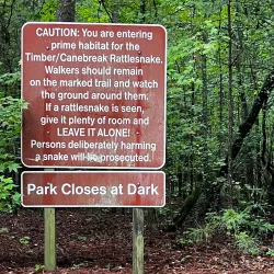 Sweetwater Creek State Park - Douglasville