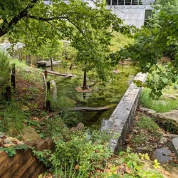 Gwinnett Environmental & Heritage Center - Duluth