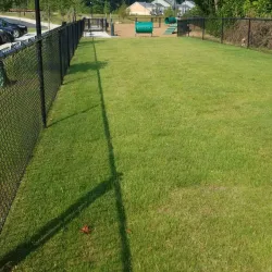 Fayetteville Dog Park - Fayetteville
