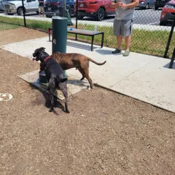 Fayetteville Dog Park - Fayetteville