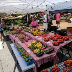 Fayetteville Farmers Market - Fayetteville