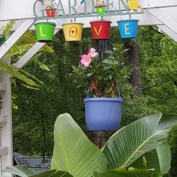 Fayetteville Library - Fayetteville