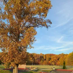 Fayetteville Skate Park - Fayetteville