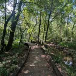 Flat Creek Nature Preserve - Fayetteville