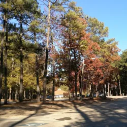 Flat Creek Nature Preserve - Fayetteville