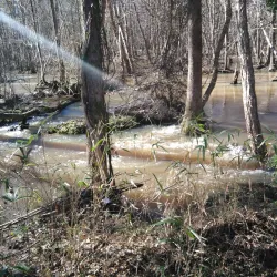 Flat Creek Nature Preserve - Fayetteville