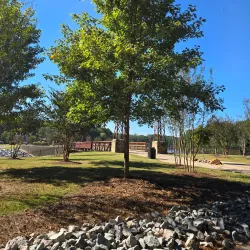 Lake Peachtree - Fayetteville