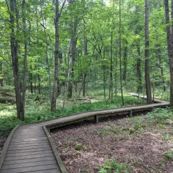 Reynolds Nature Preserve - Fayetteville