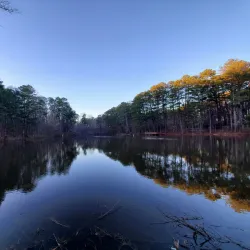 Reynolds Nature Preserve - Fayetteville