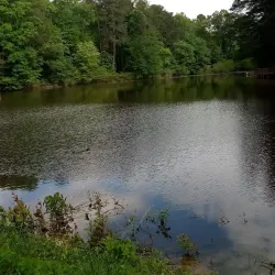 Reynolds Nature Preserve - Fayetteville