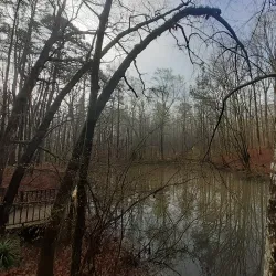 Reynolds Nature Preserve - Fayetteville