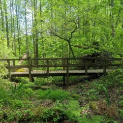 Reynolds Nature Preserve - Fayetteville