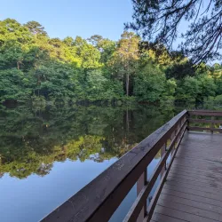 Reynolds Nature Preserve - Fayetteville