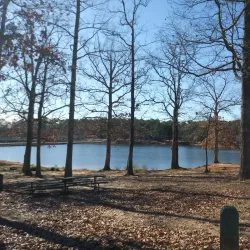 Clayton County International Park Amphitheater - Forest Park