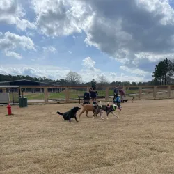 Clayton County International Park Dog Park - Forest Park