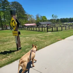 Clayton County International Park Dog Park - Forest Park