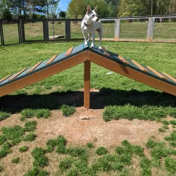 Clayton County International Park Dog Park - Forest Park