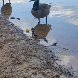 Clayton County International Park - Forest Park