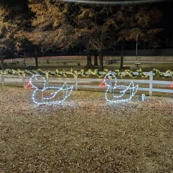 Forest Park Skate Park - Forest Park