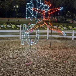 Forest Park Skate Park - Forest Park