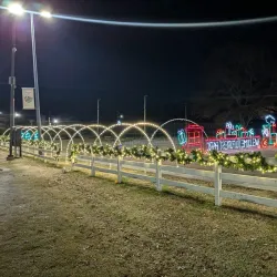 Forest Park Skate Park - Forest Park