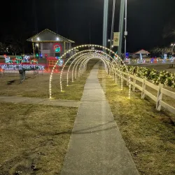 Forest Park Skate Park - Forest Park