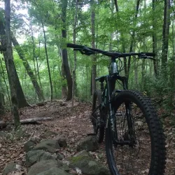 Southside Park - Forest Park