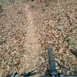 Southside Park - Forest Park