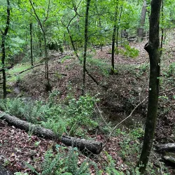 Southside Park - Forest Park