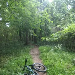 Southside Park - Forest Park