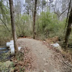 Southside Park - Forest Park