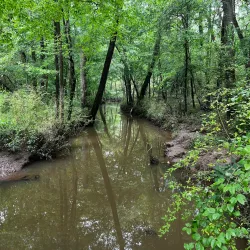 Southside Park - Forest Park