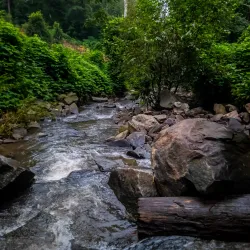 The Forest Park Cultural Arts Center - Forest Park